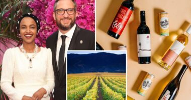Ilhan Omar husbandâs California winery closes its doors amid scrutiny of congresswomanâs family finances